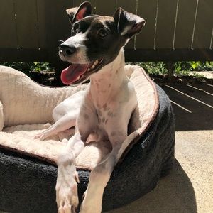 Meet your Posher, Chris